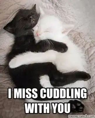 cuddling memes